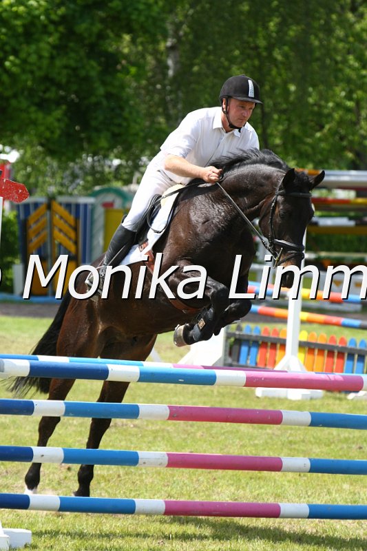 204M3841_Sirius Black_Spring_L.JPG